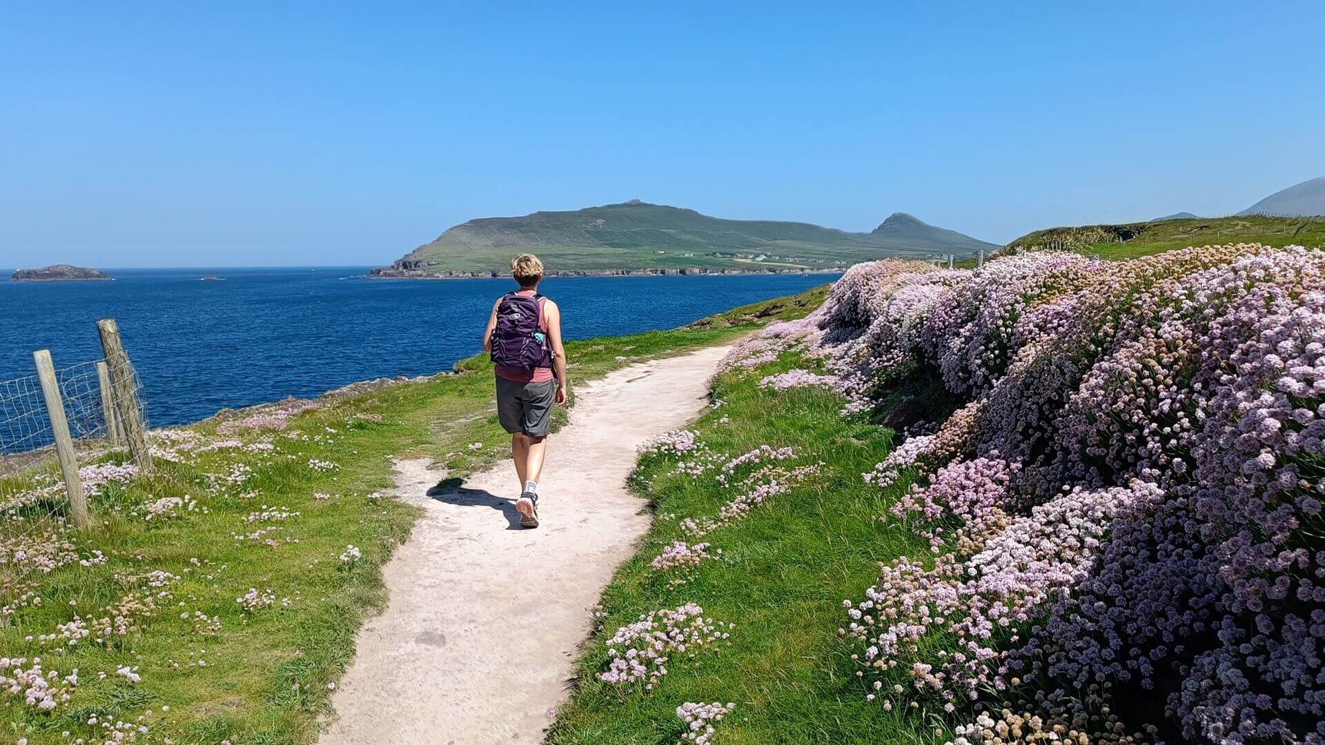 Dingle Way på Irlands vestkyst