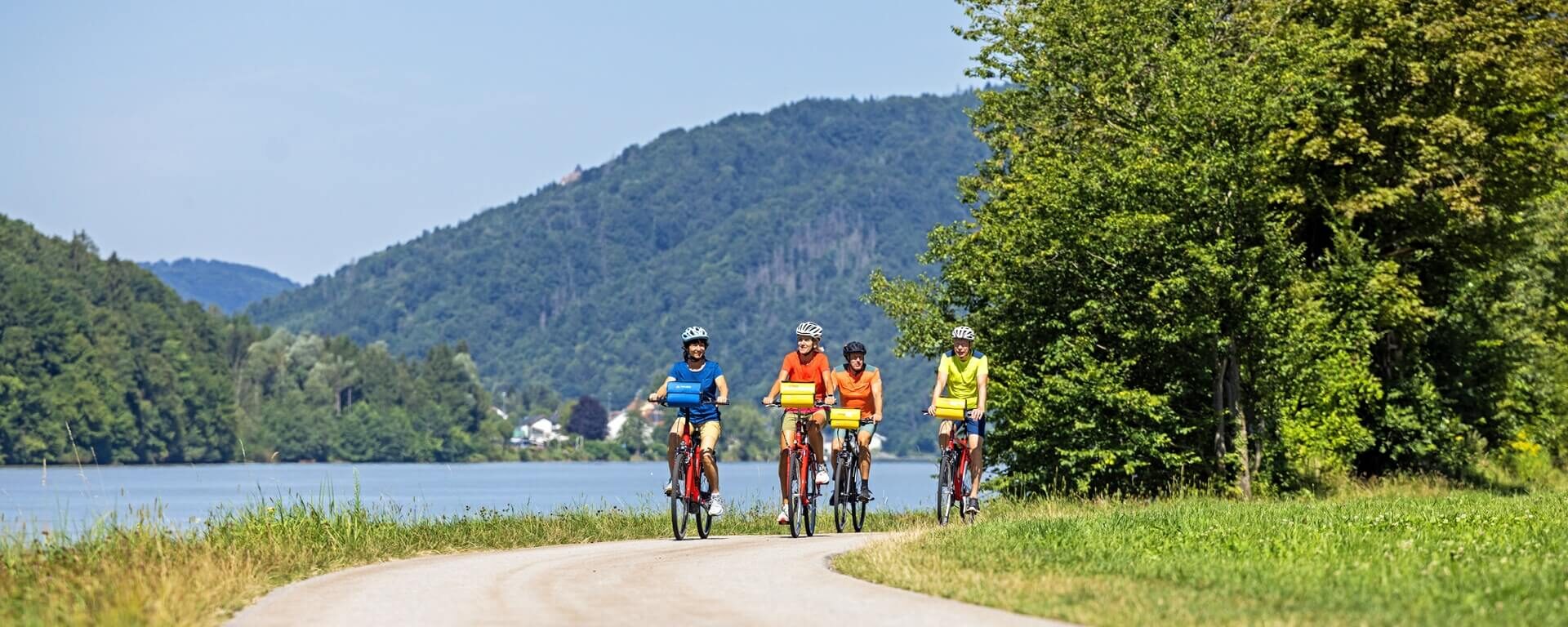 Varianter af cykelferie langs Donau